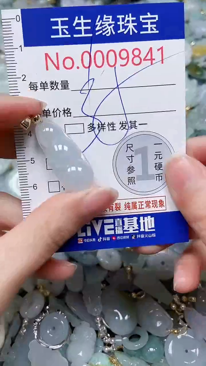 【闪购商品】翡翠颈饰未镶嵌闪购00009841