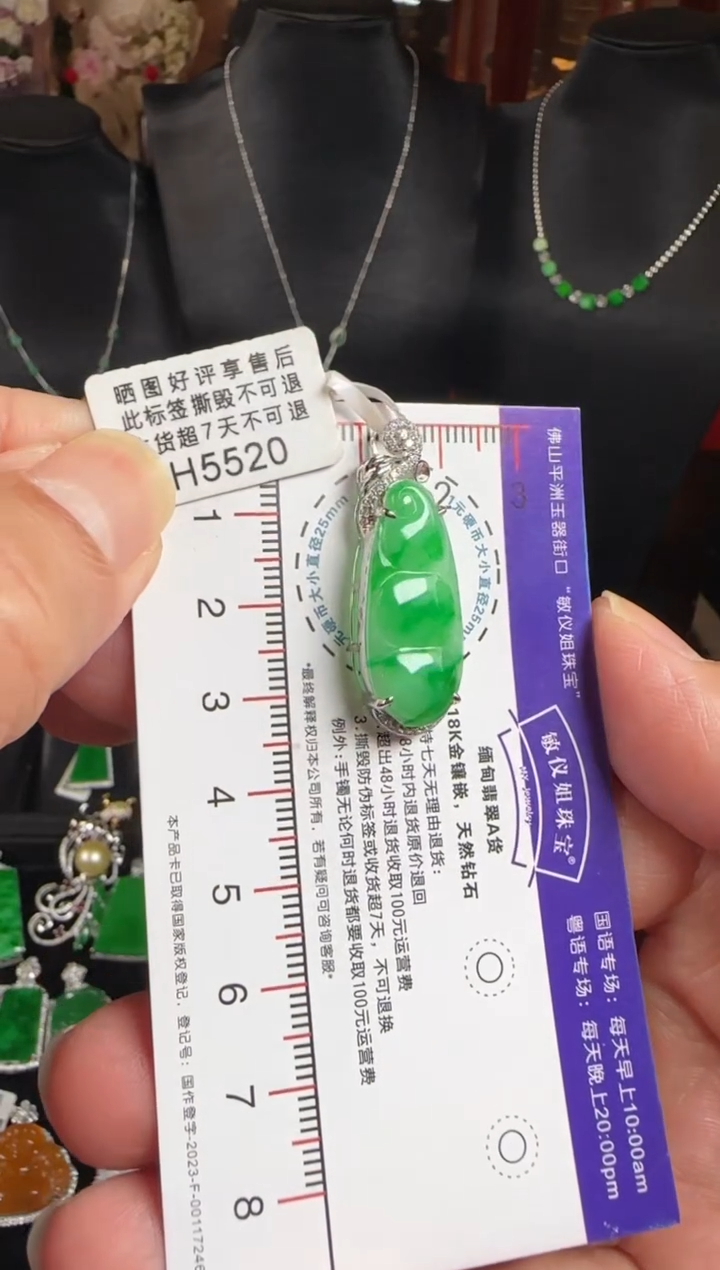 颈饰未镶嵌翡翠H5520富贵豆