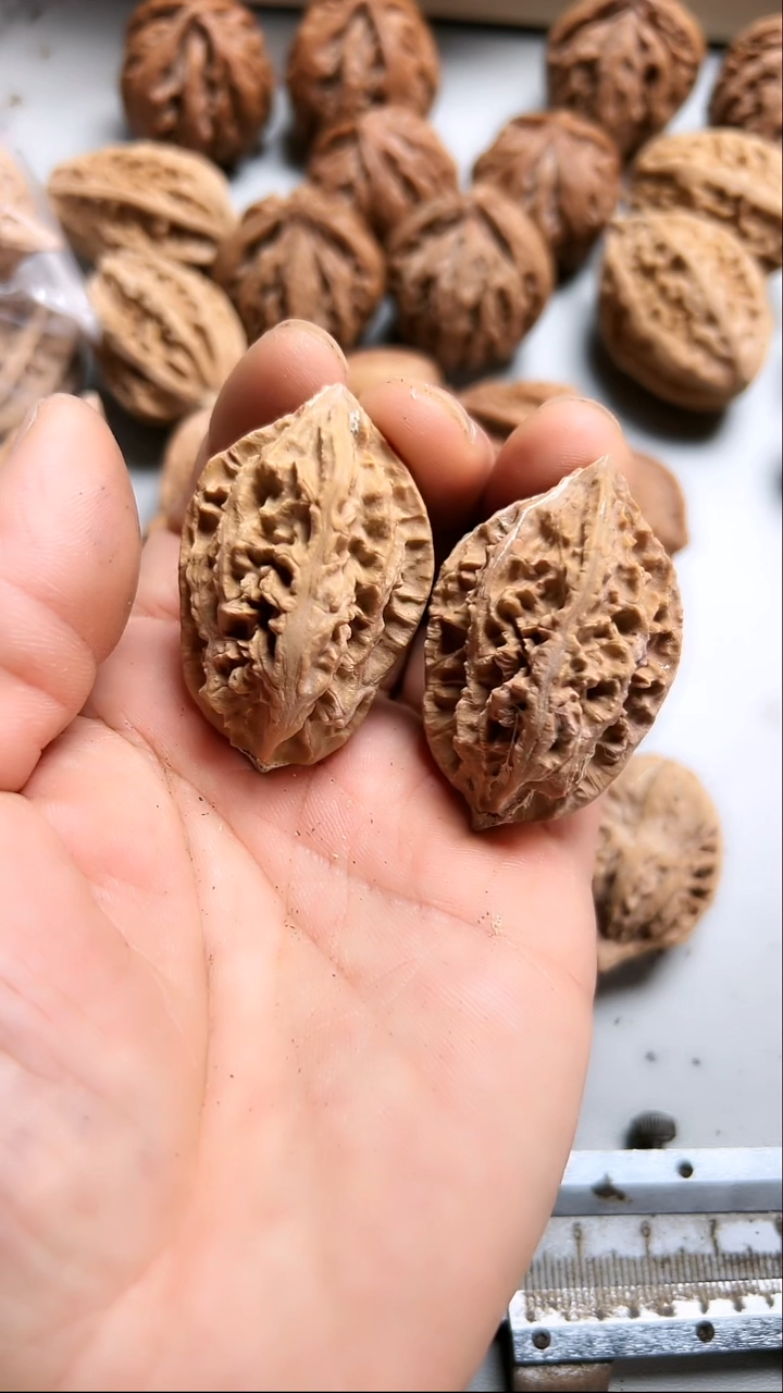 核桃东北野生大秋子1