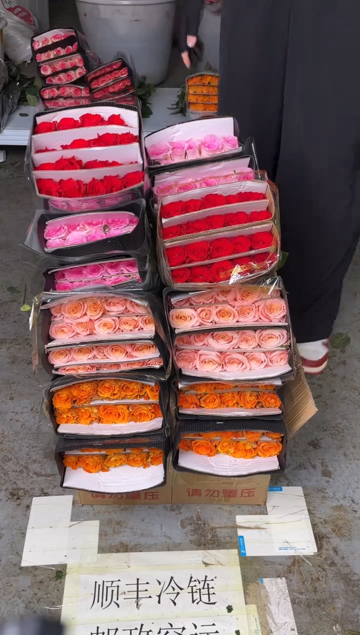 巨蟹座20枝+微光20枝+洛神20枝+珍爱20枝