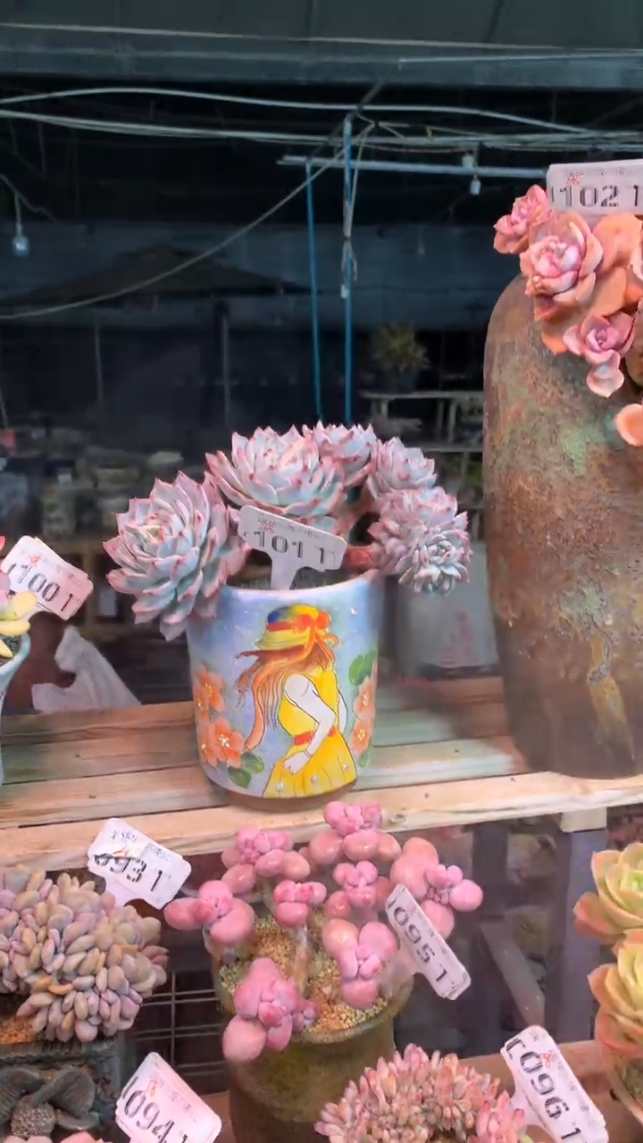 101TTT（满28发货）