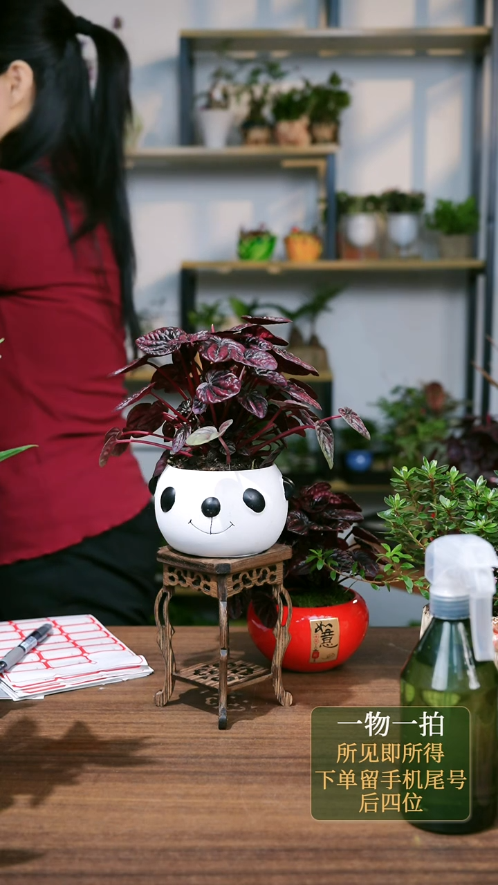 【闪购商品】4--海马几