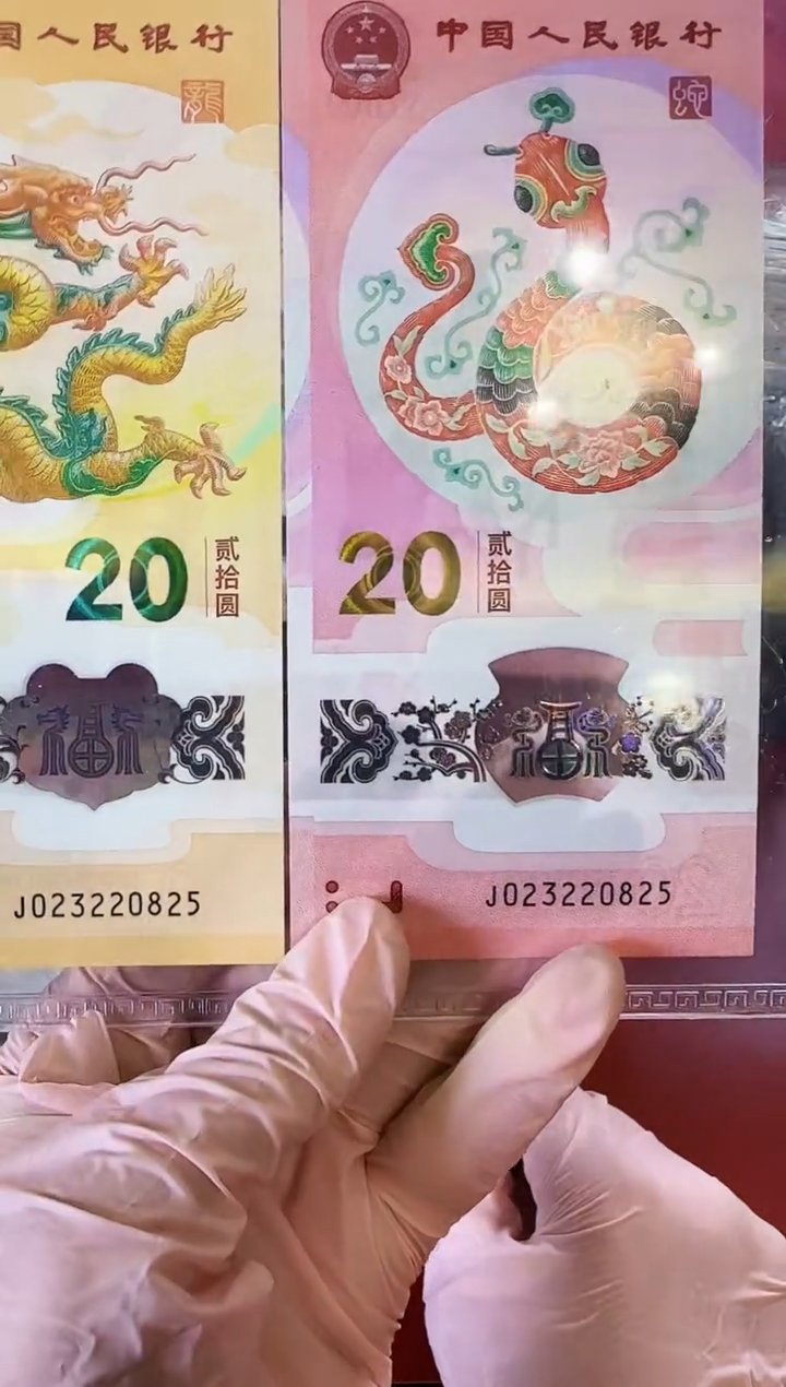 【闪购商品】塑料2025蛇钞全同号023220825裸