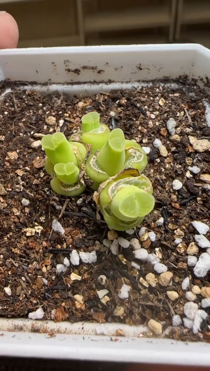 【闪购商品】14-69