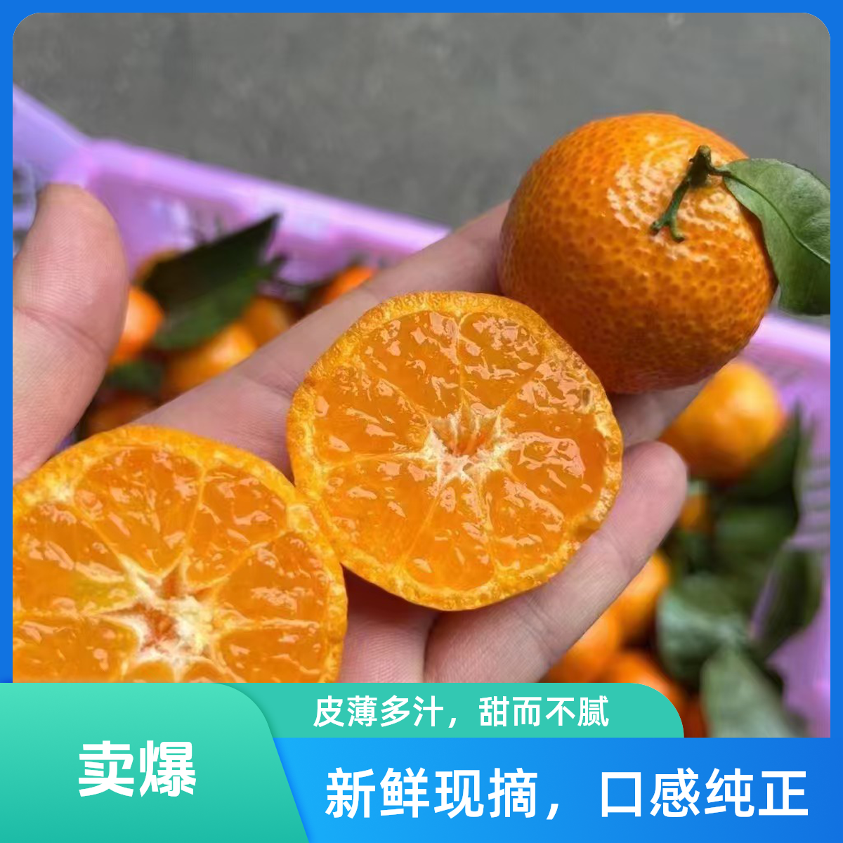 云南砂糖桔5斤毛重，果肉爽脆、汁多、化渣、味清甜，耐人寻味