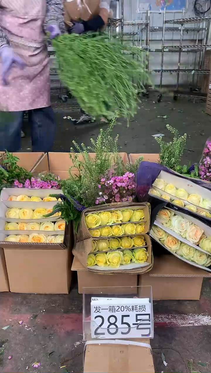 285号♥中通不指定随机颜色含20%耗损发一箱