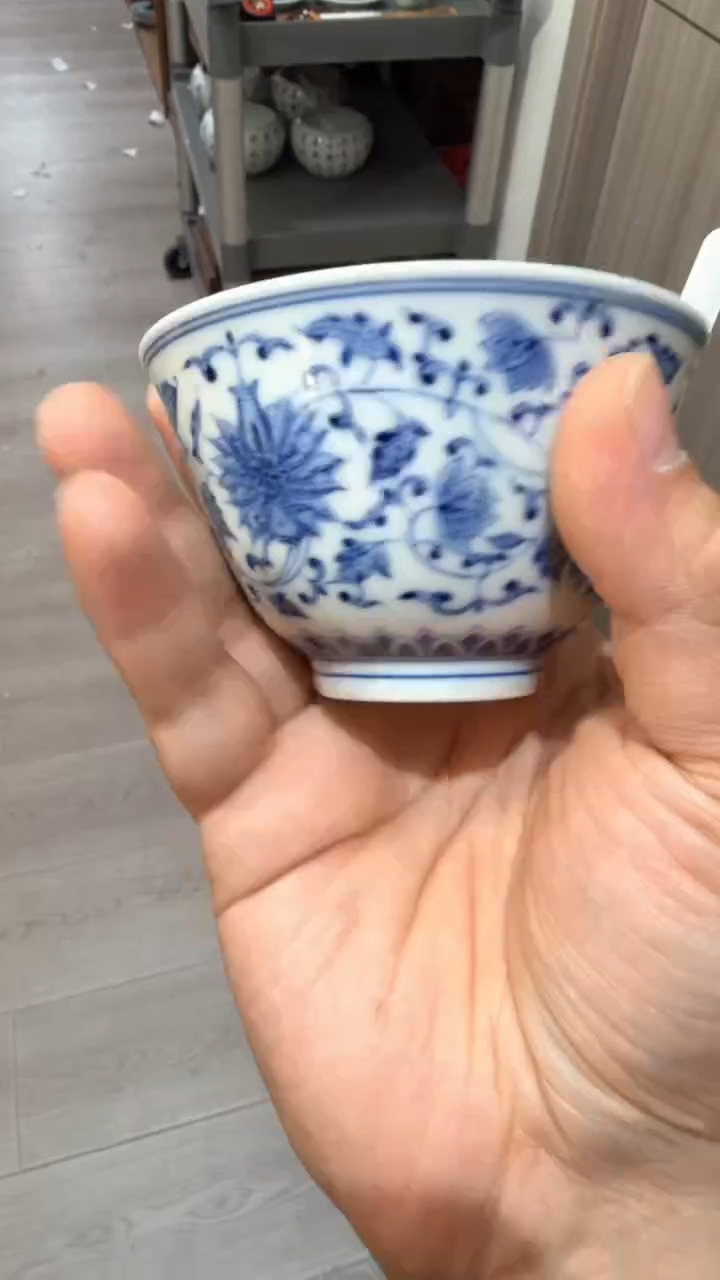 Z116杯杯杯杯杯杯杯杯杯