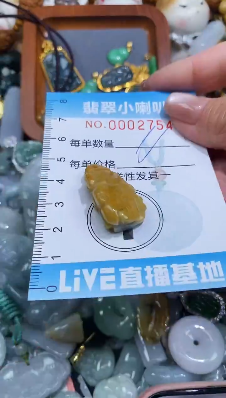 【闪购商品】翡翠颈饰未镶嵌闪购0002754