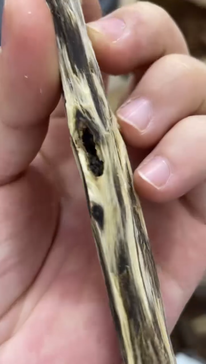 沉香沉香碎屑棋楠沉香 原料文创1