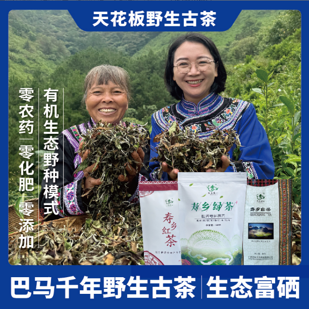 [钜惠促销]巴马寿乡千年野生鲜嫩茶叶100g*1袋红茶白茶