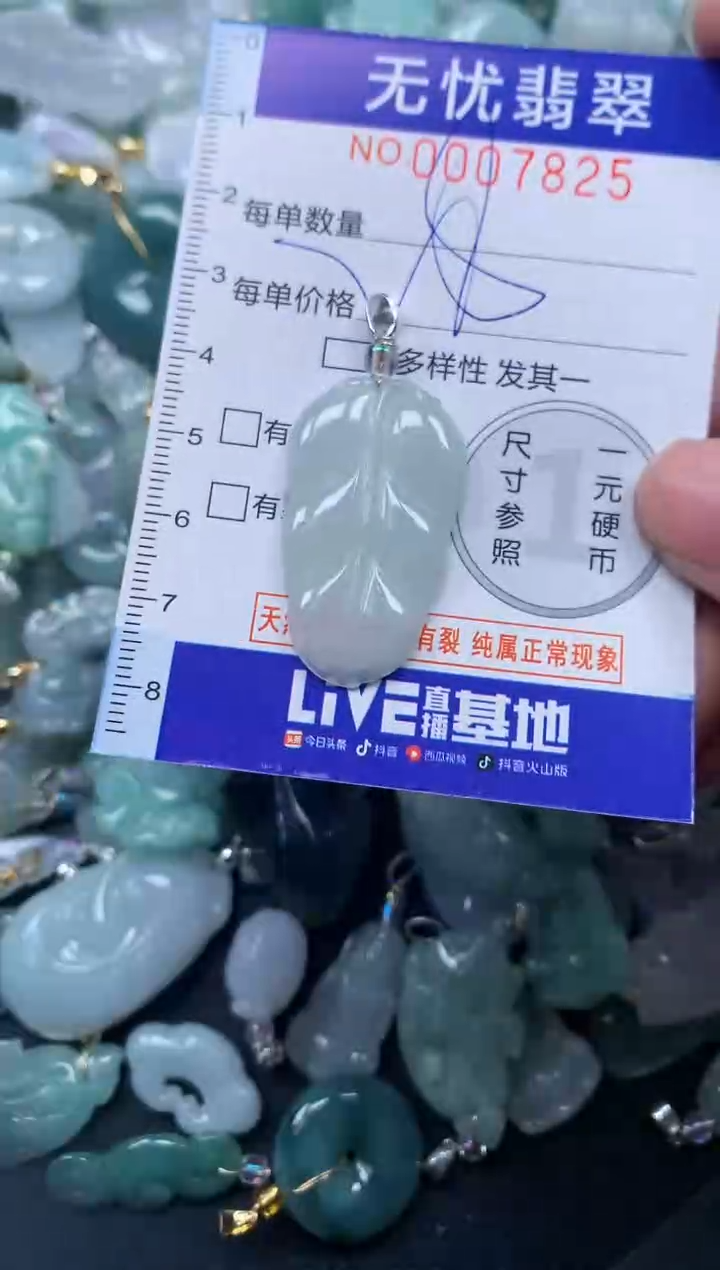 颈饰未镶嵌翡翠7825