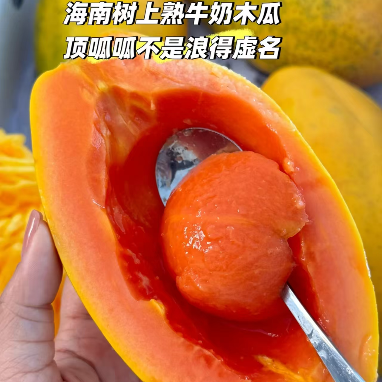 无籽树熟木瓜/1个/四平同城配送云南省