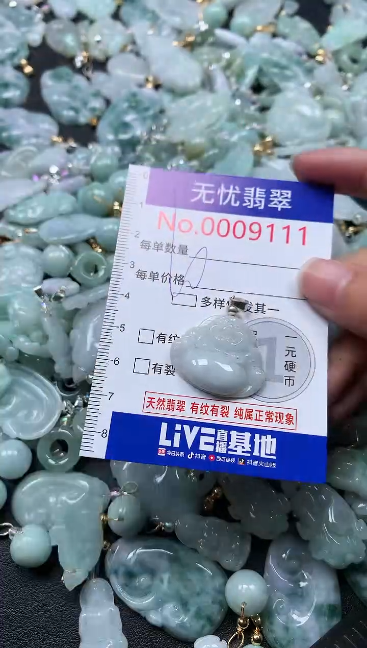 颈饰未镶嵌翡翠9111