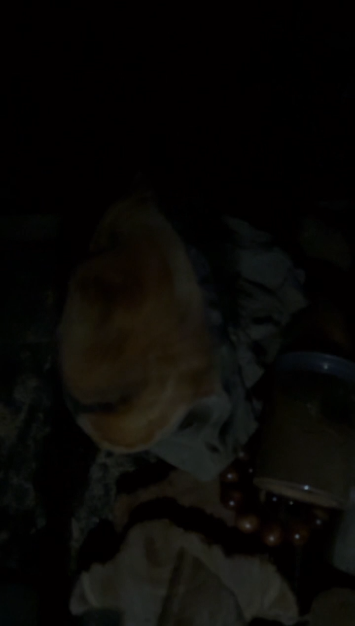 【闪购商品】柏木（崖柏）送大哥一串崖柏手串