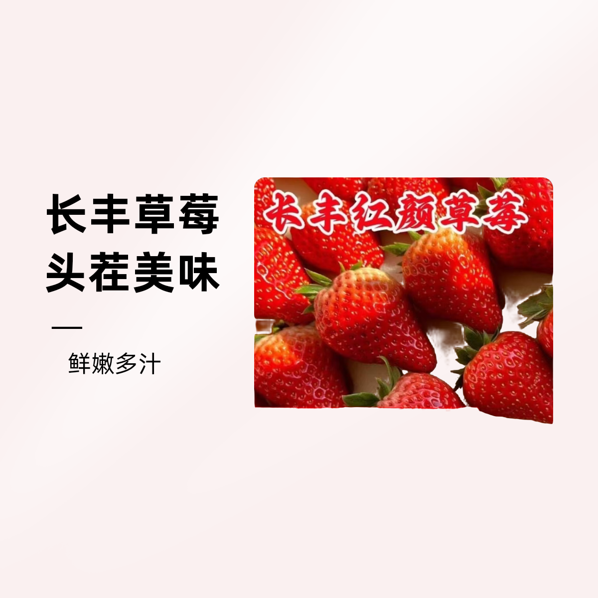长丰头茬大叶红颜草莓