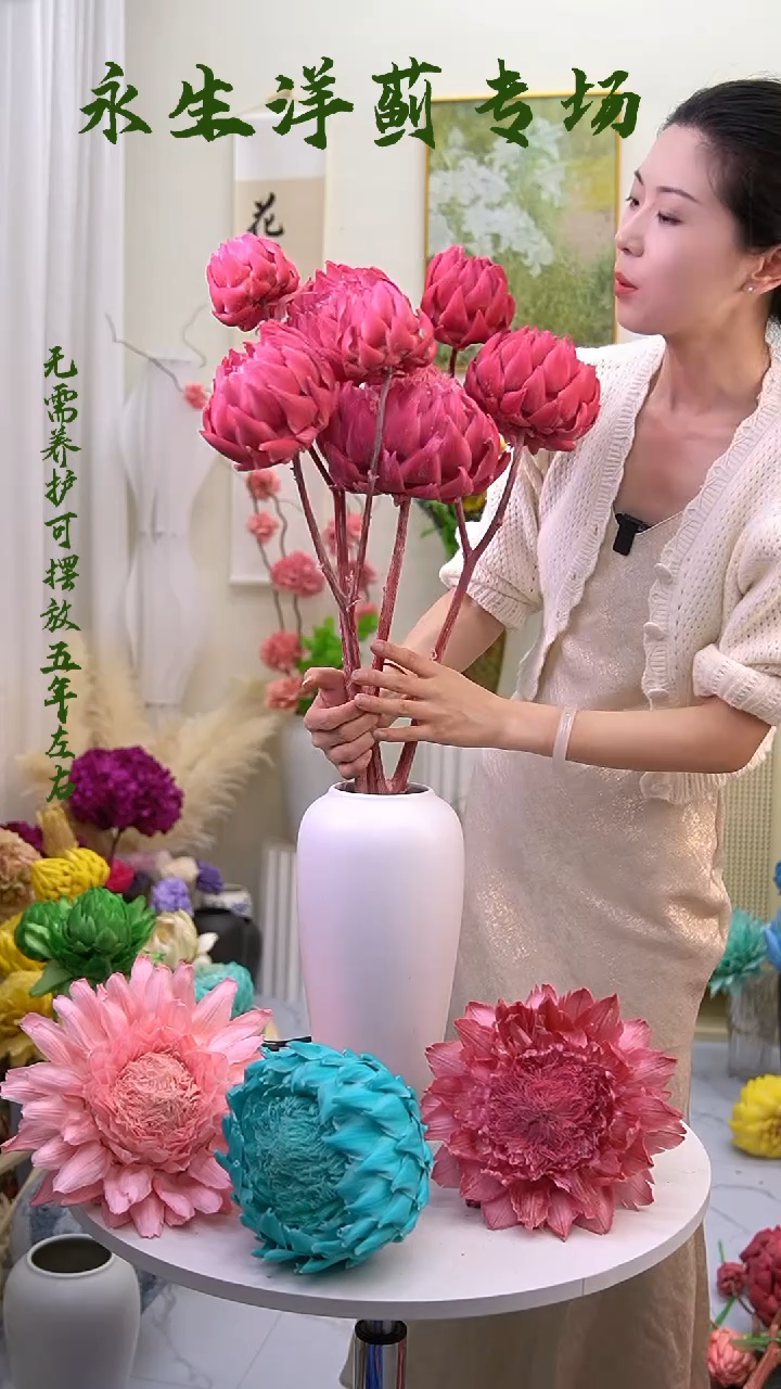 永生洋蓟7个头玫粉