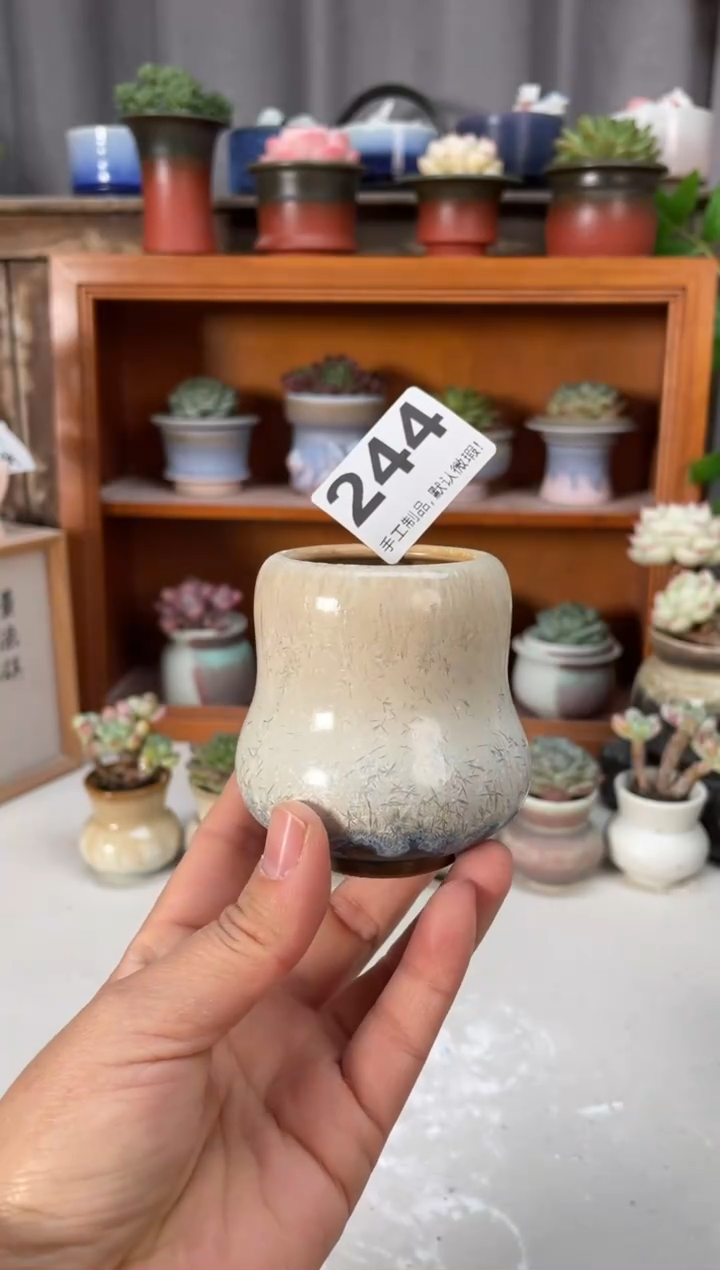 瓷片244小芳直播编号
