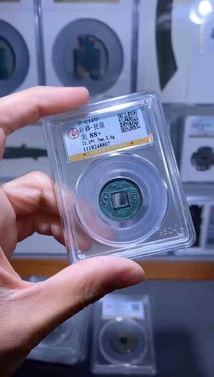 【闪购商品】金品泉 新莽货泉一枚