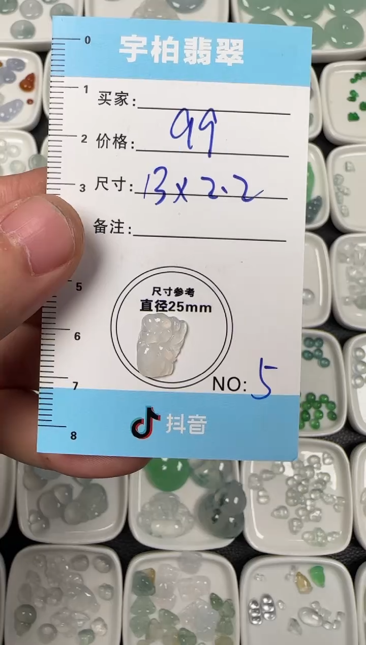 未镶嵌定制翡翠天然A货翡翠+仙子5