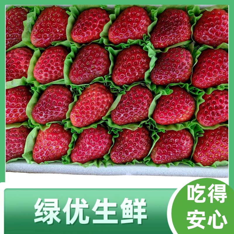 小黑盒草莓约300g