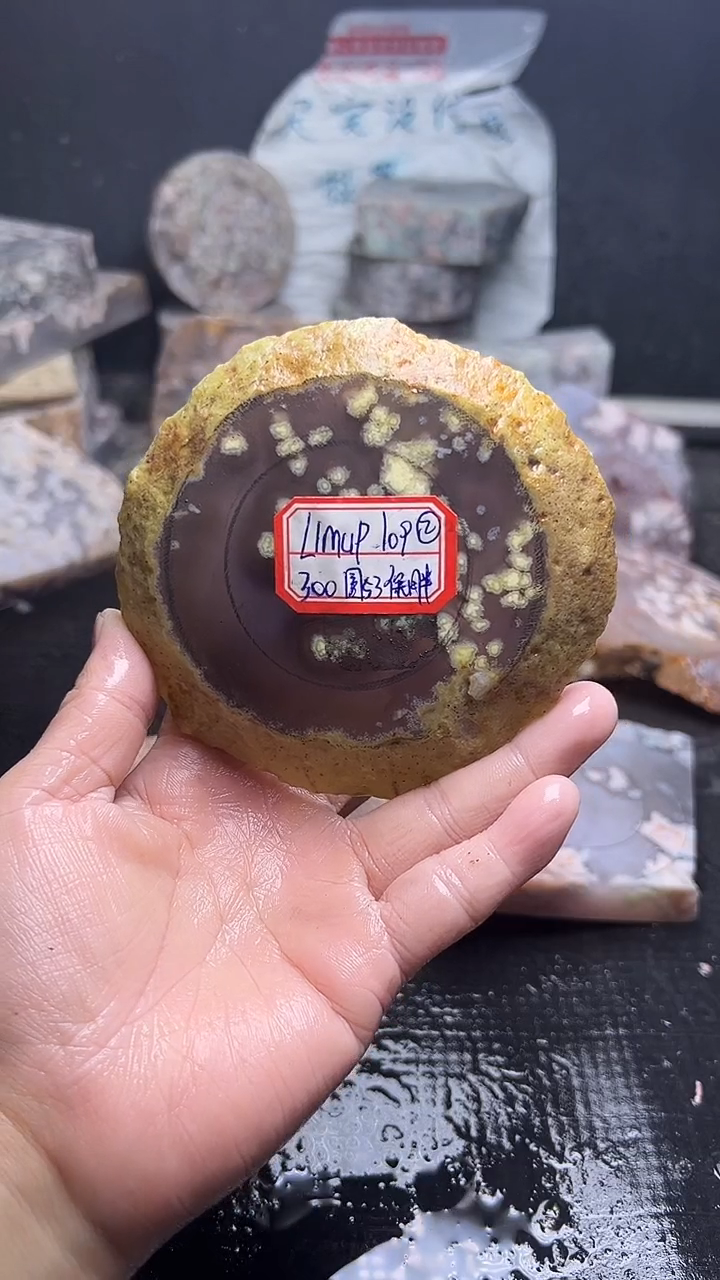 未镶嵌**************定制玛瑙L****P-109