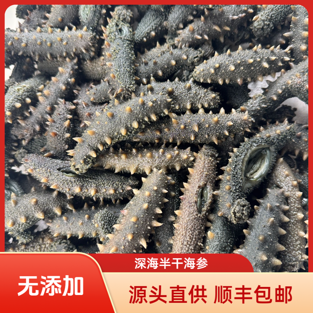 大白刺（深海半干）25~15头自然海域生长