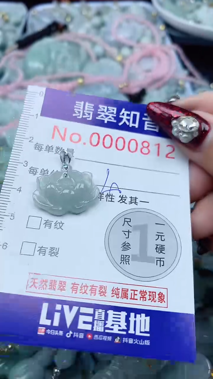 颈饰未镶嵌翡翠812