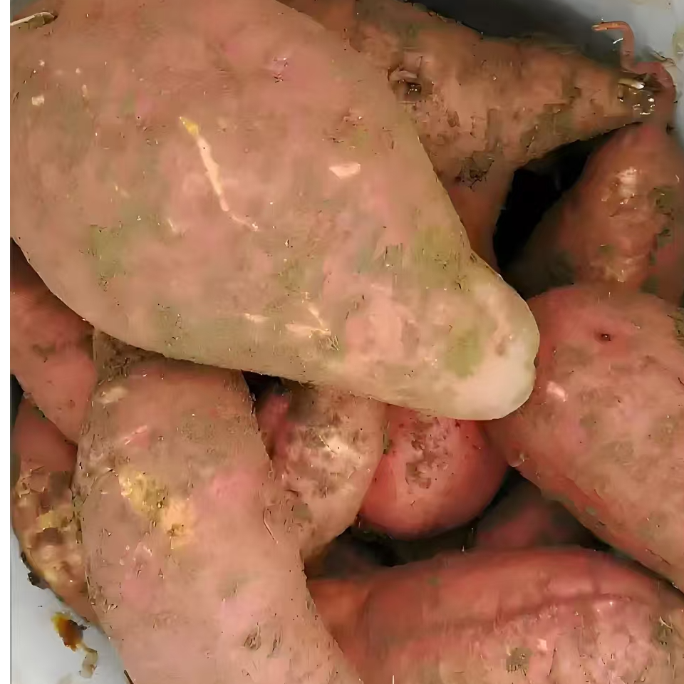 新鲜现挖贵州高原红心蜜薯沙地种植软糯香甜