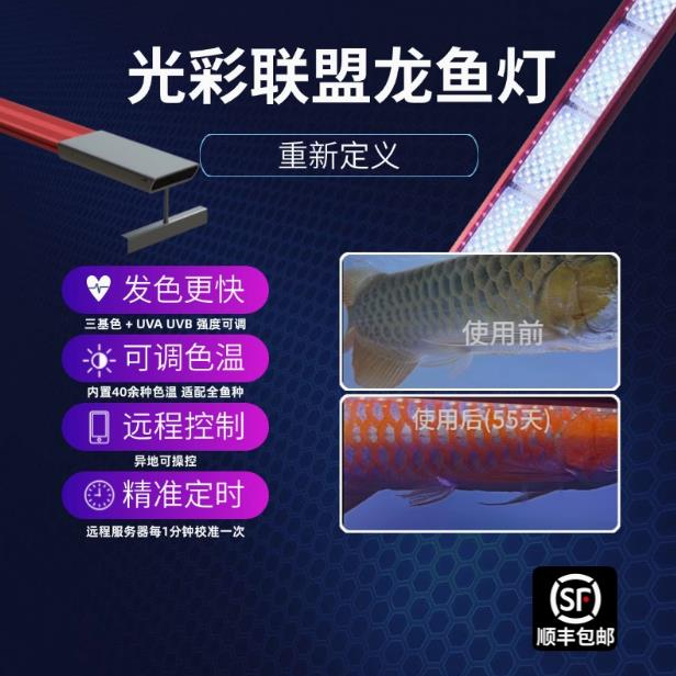 龙族牌光彩联盟智能LED多用途龙鱼发色灯发色吃框铺粉洗底去血痕