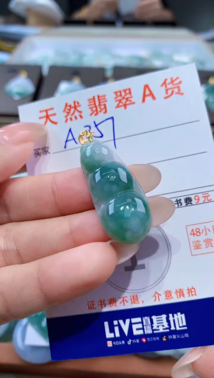颈饰未镶嵌翡翠天然缅甸翡翠A货挂件 