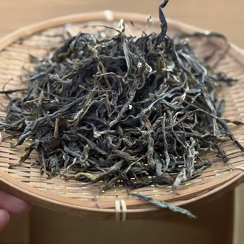 【源头臻选】2024年春王家地古树普洱生茶