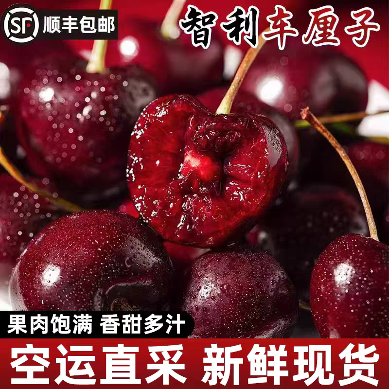 智利空运桑提娜1-4J空运车厘子新鲜进口樱桃内附果径卡