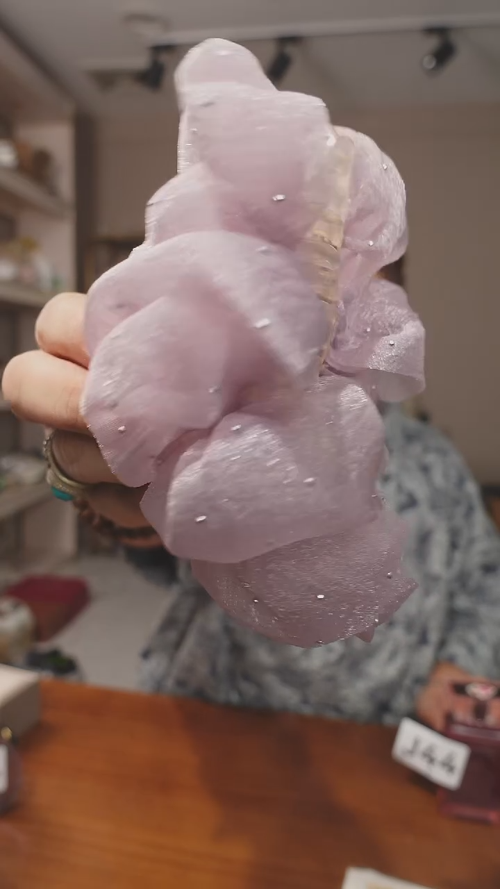 夹抓                     