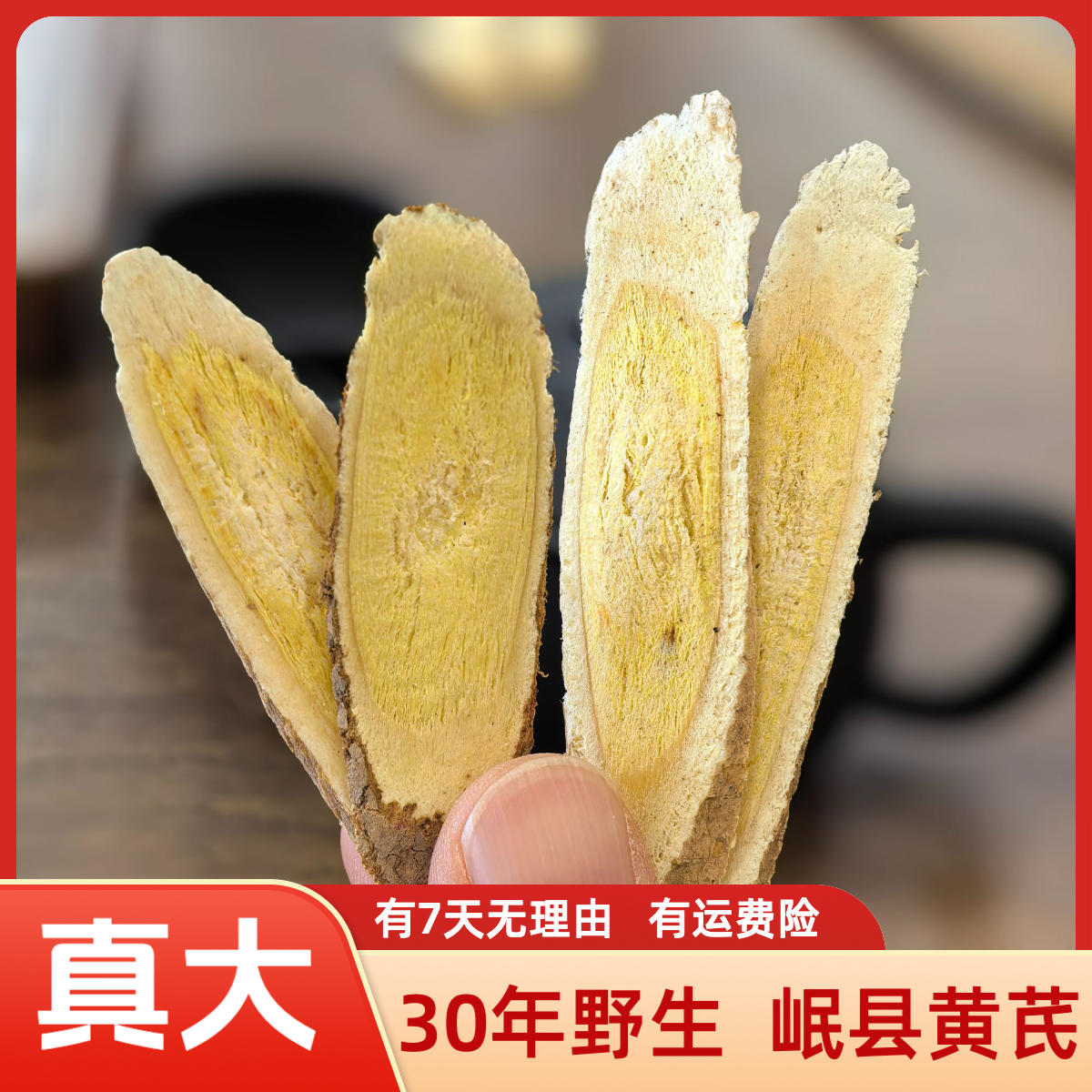 【岷县芪王】30年 野生 超大片
