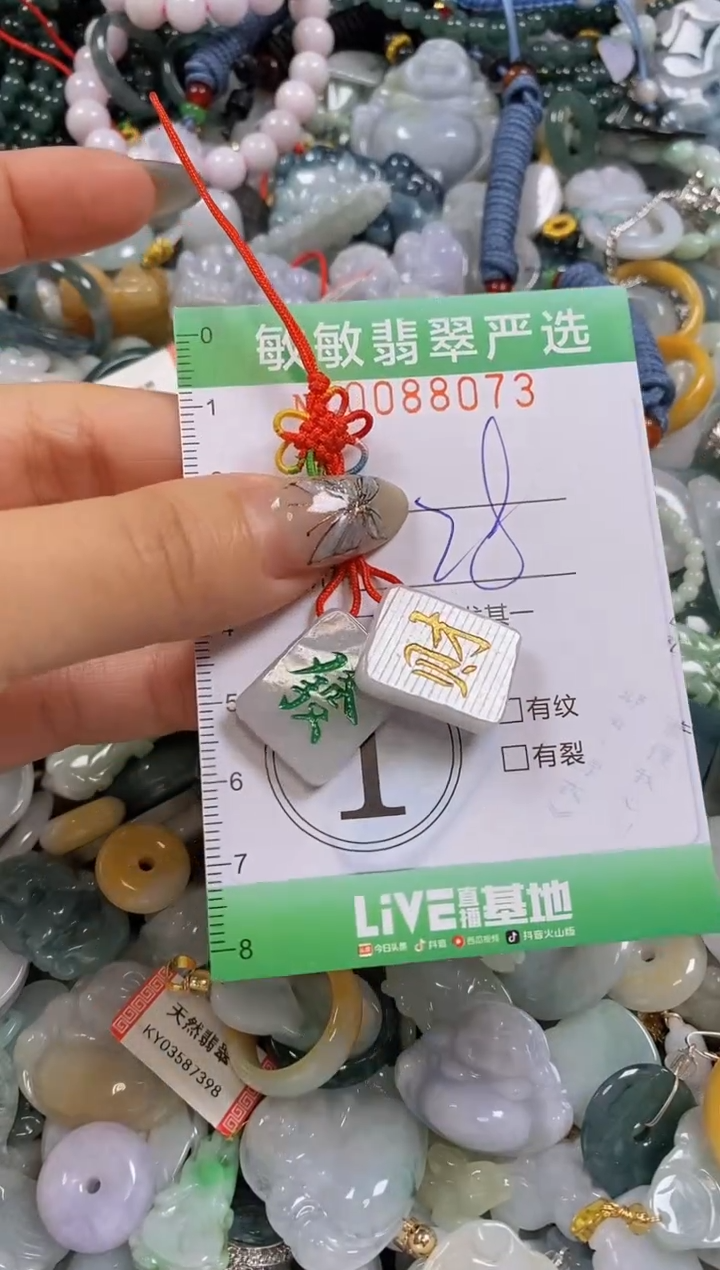 【闪购商品】翡翠颈饰未镶嵌闪购0088073