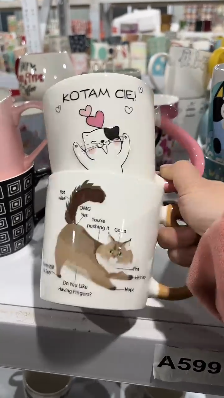 【闪购商品】家湖高温陶瓷杯 微瑕