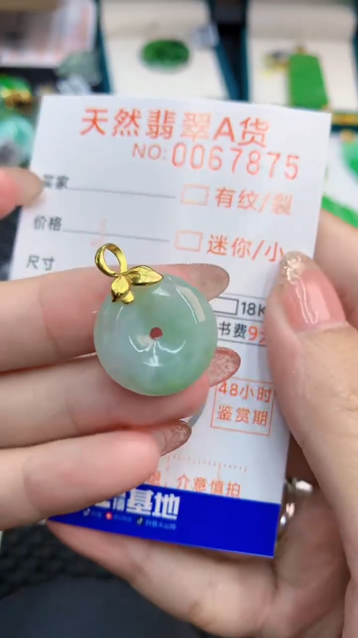 【闪购商品】翡翠银S925镶嵌颈饰            8