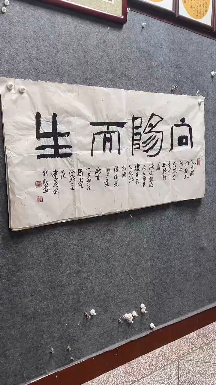 书法范建刚老师作品四尺整张