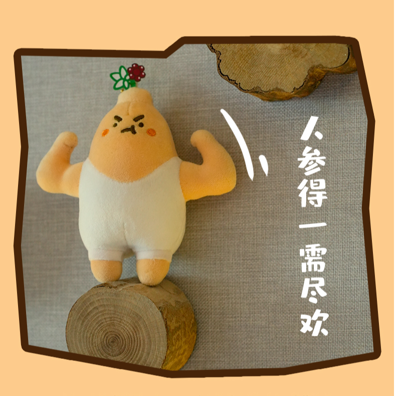 哈一代广东文创本潮纲目人参娃娃毛绒公仔包包挂件钥匙扣生日礼物