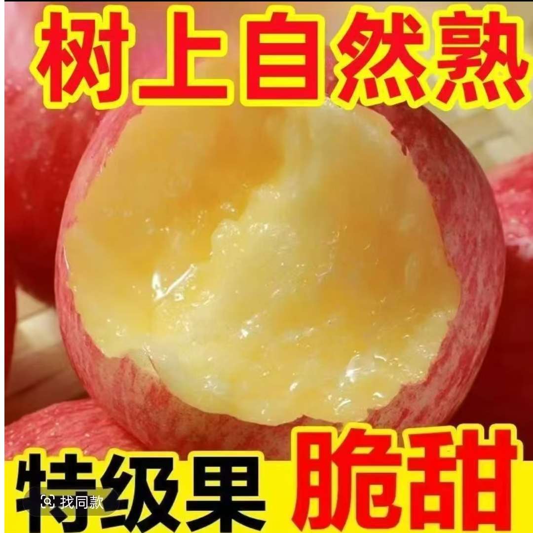 苹果树苗当年结果种不活可以补发