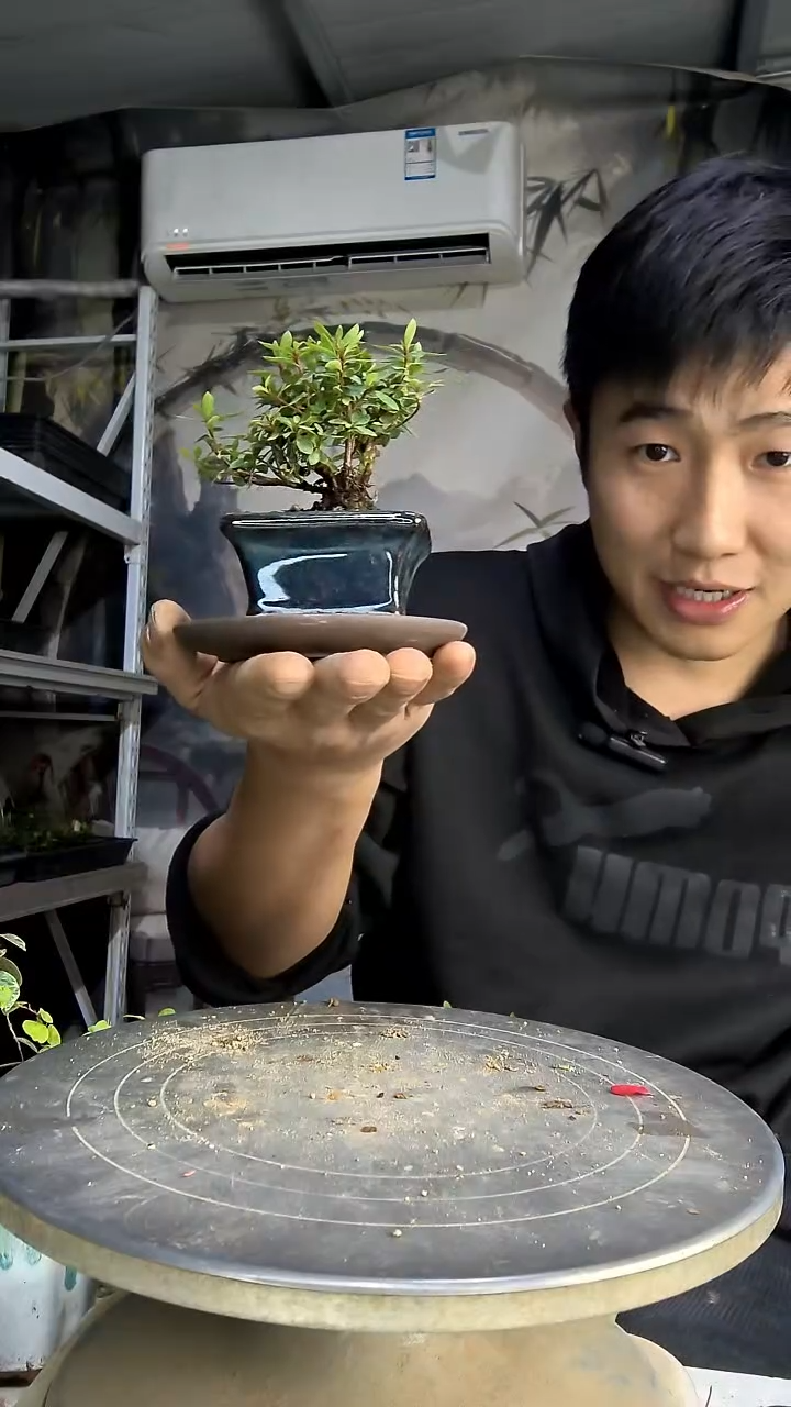 烟*中青园艺一物一拍花459