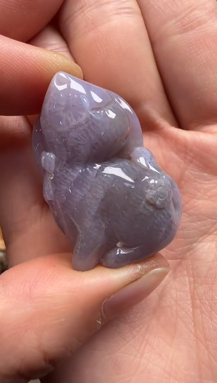 【闪购商品】硅化珊瑚（珊瑚玉）颈饰未镶嵌343