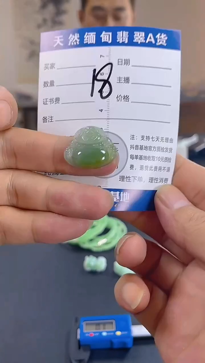 颈饰未镶嵌翡翠纯天然缅甸翡翠A货