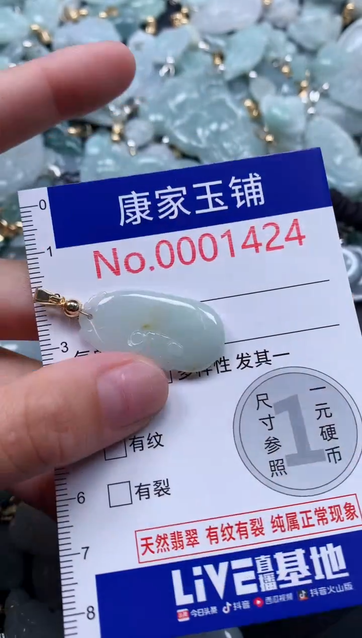 翡翠未镶嵌吊坠(不含链)1424
