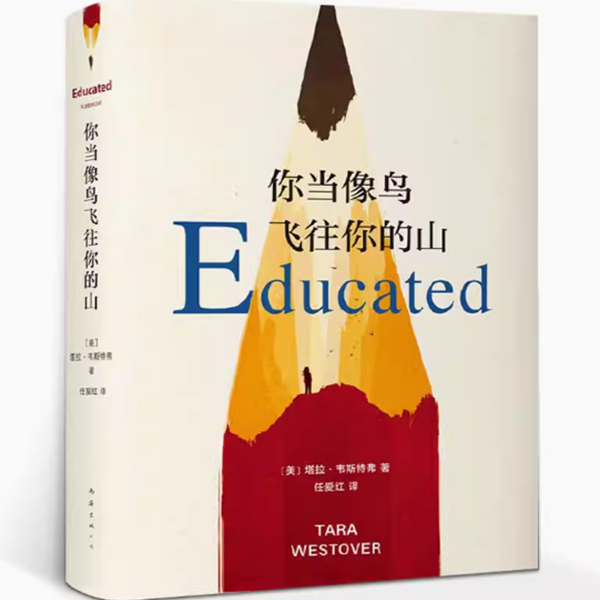 你当像鸟飞往你的山 比尔盖茨推荐外国文学 杀死一只知更鸟 书籍