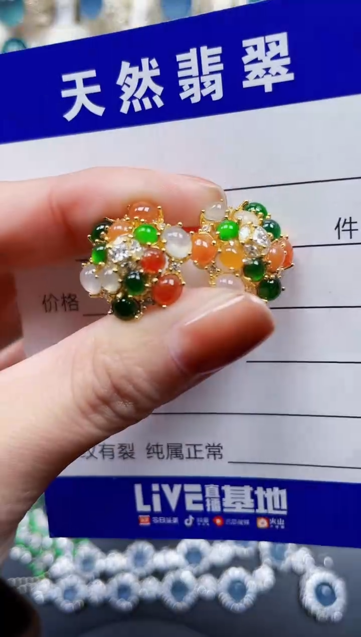 银S925镶嵌翡翠耳饰666