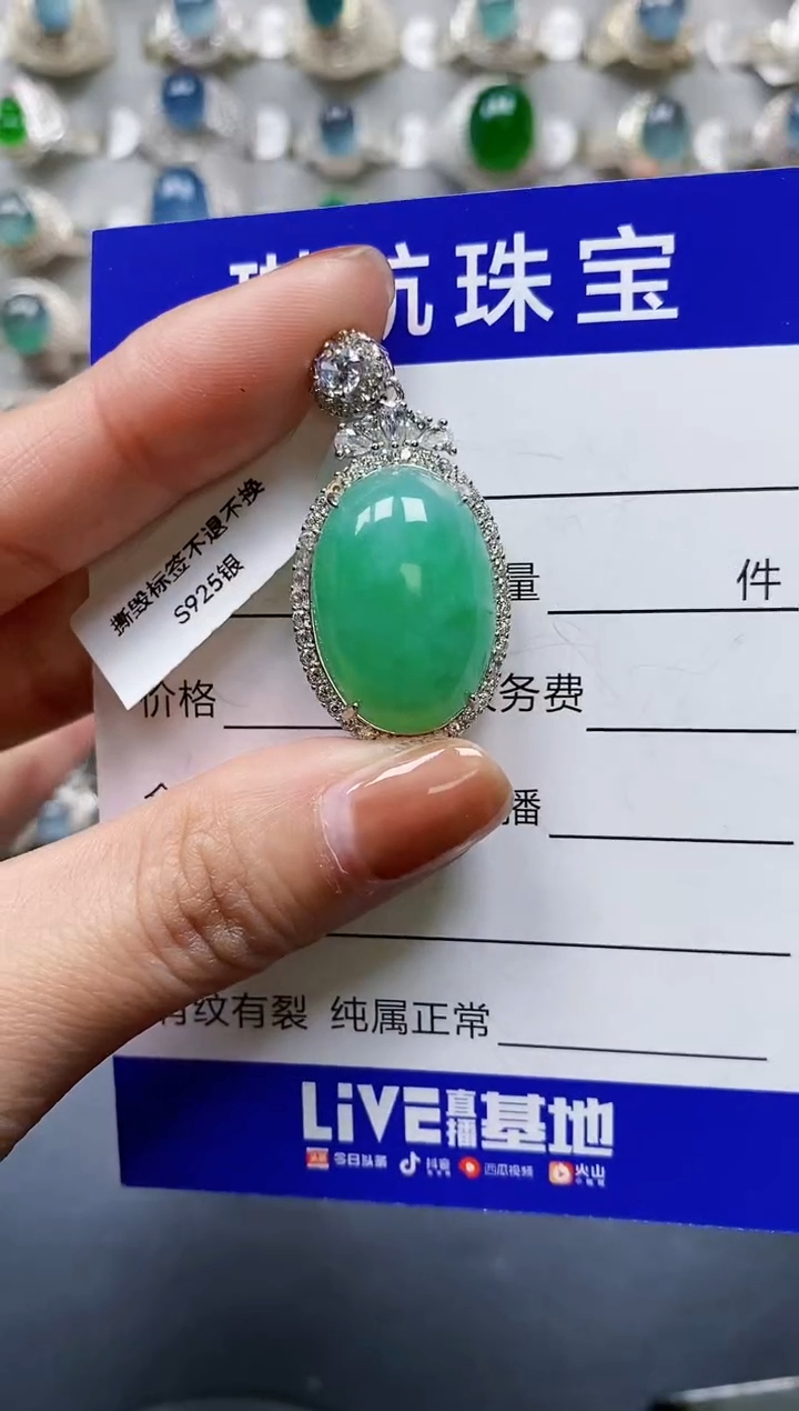 【闪购商品】翡翠颈饰银S925镶嵌0571