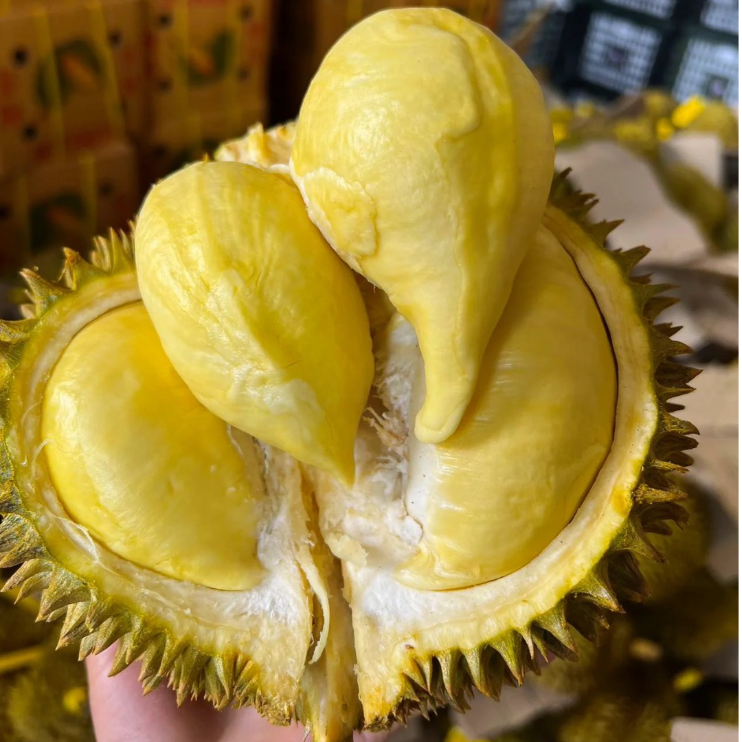 新鲜金枕榴莲核小500g金枕泰国