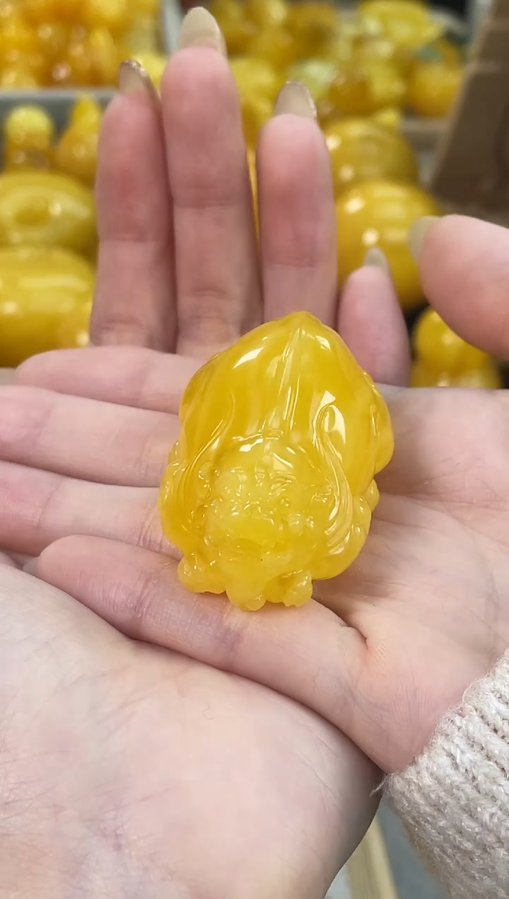 裸石琥珀未镶嵌J21