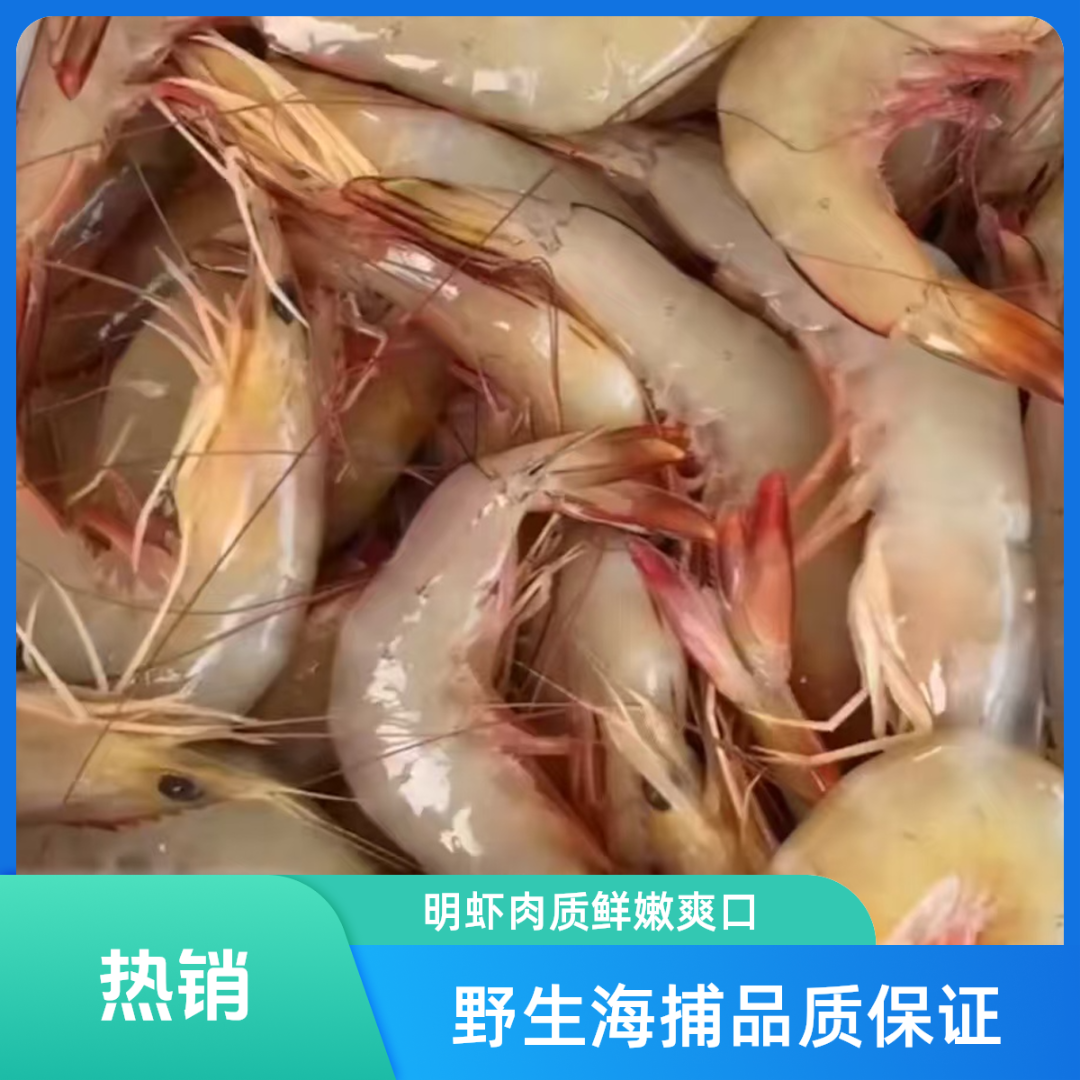 【顺丰冷链】明虾大白虾野生海捕新鲜净重500g/3盒/3斤（16-20头）